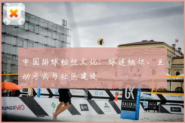 中国排球粉丝文化：球迷组织、互动方式与社区建设