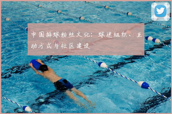 中国排球粉丝文化:球迷组织、互动方式与社区建设