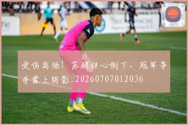 受伤离场！苏超核心倒下，冠军争夺蒙上阴影_20260707012036